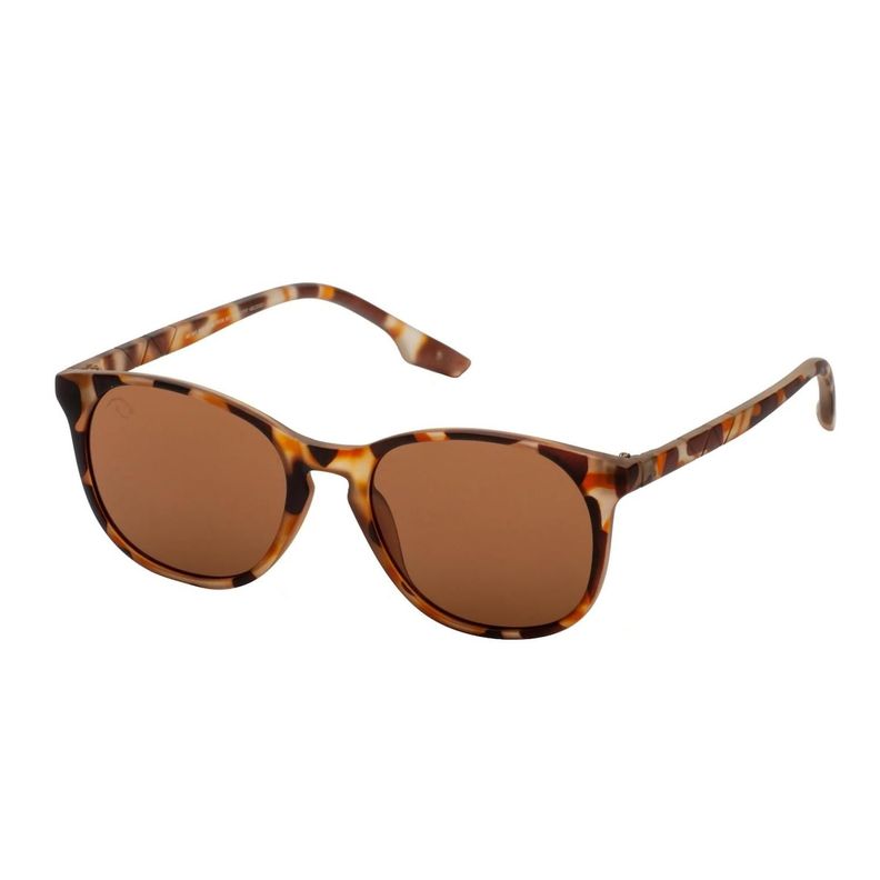 LENTES DE SOL W.A.R LAND A1 TORTOISE BROWN UV400-1