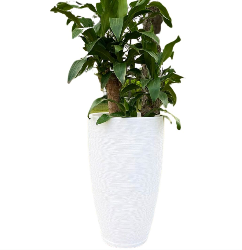 MACETERO FLORIDIS AMSTERDAM 65CM DE ALTO-0