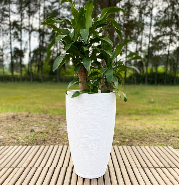 MACETERO FLORIDIS AMSTERDAM 65CM DE ALTO-1
