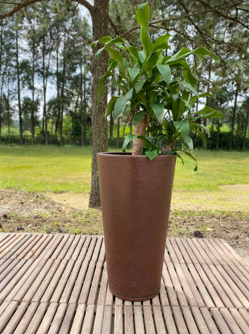 MACETERO FLORIDIS GENEBRA CAFE 80CM CON PLATO-3