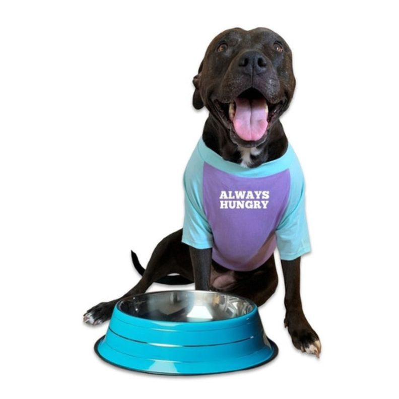 Plato Comedero Aluminio Grande Colores Para Mascotas Perros-0