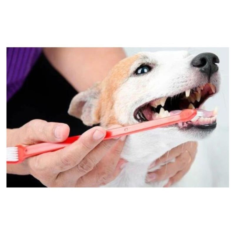 Cepillo De Dientes Doble Higiene Para Mascotas Perros Gatos-2