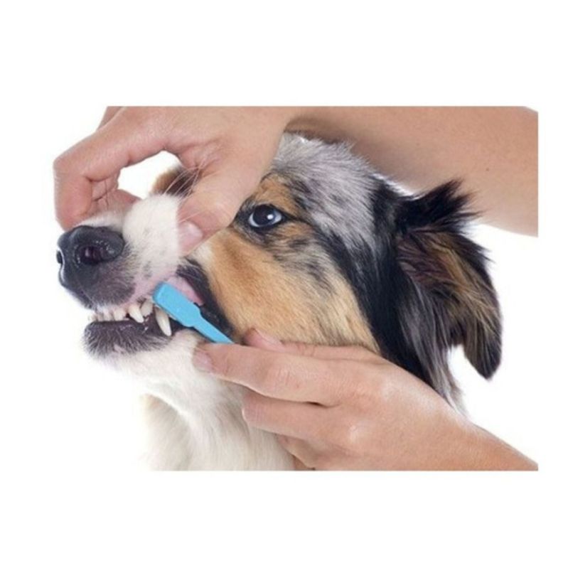 Cepillo De Dientes Doble Higiene Para Mascotas Perros Gatos-3
