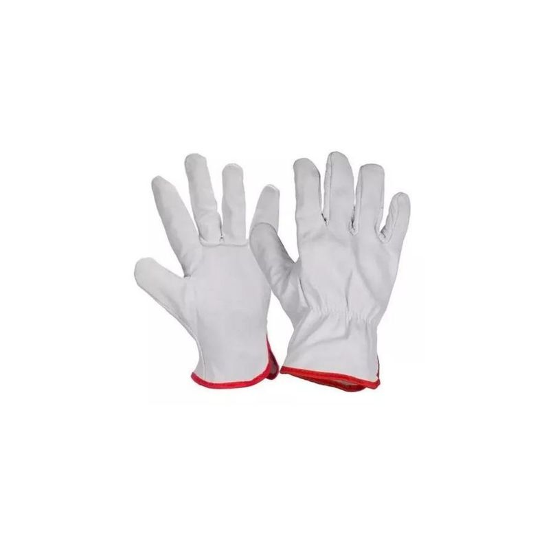 Guantes De Cabritilla Sin Forro Certificado Pack 10 Unidades-0