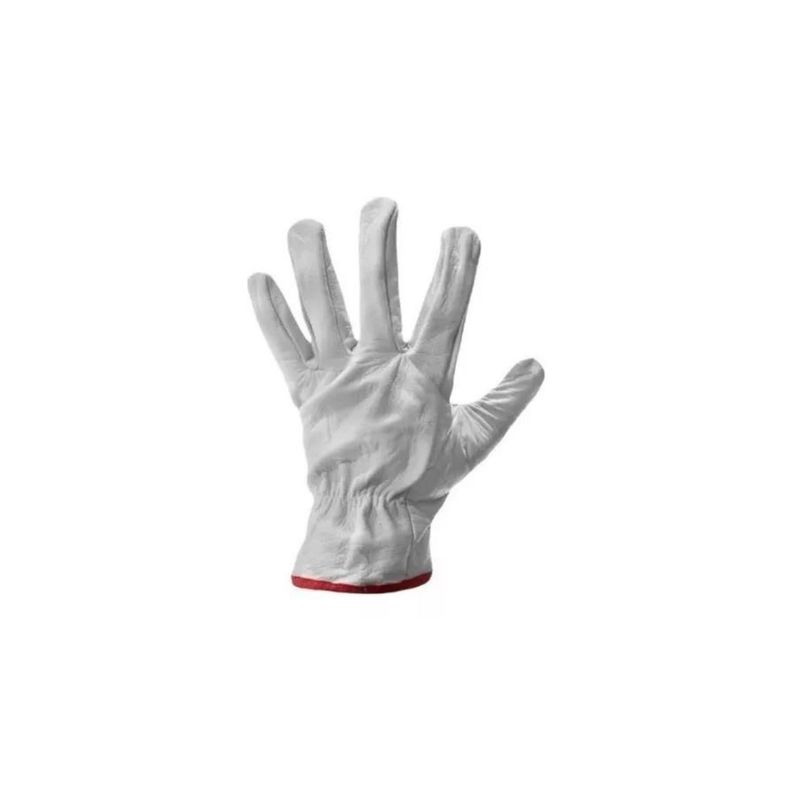 Guantes De Cabritilla Sin Forro Certificado Pack 10 Unidades-1