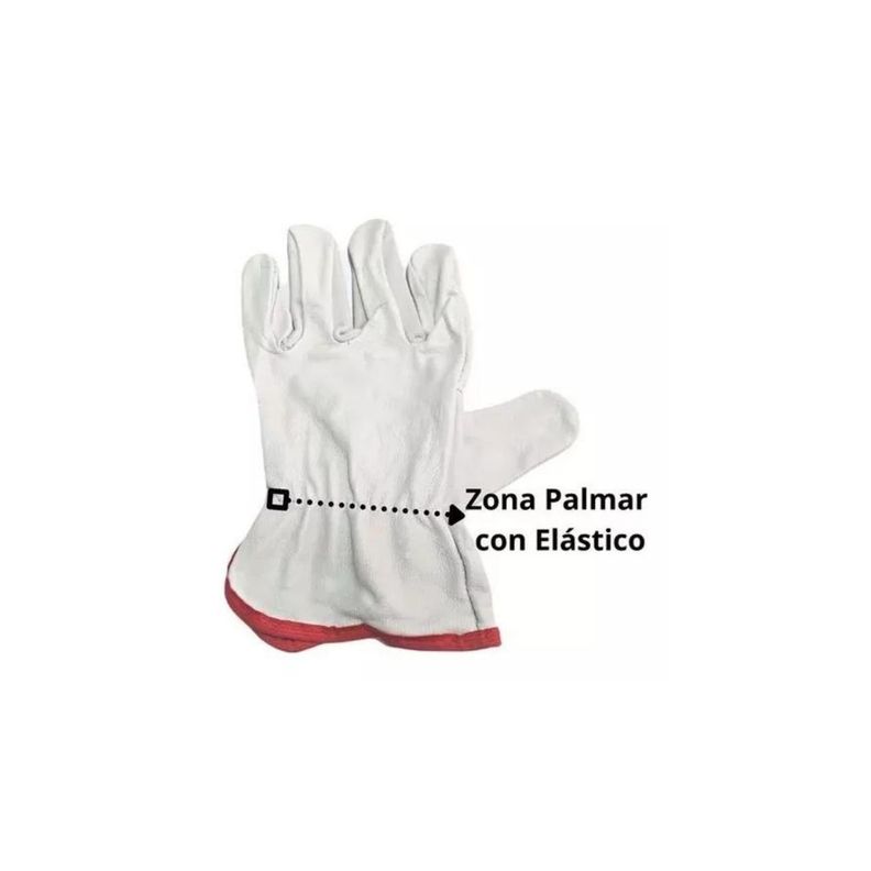 Guantes De Cabritilla Sin Forro Certificado Pack 10 Unidades-2