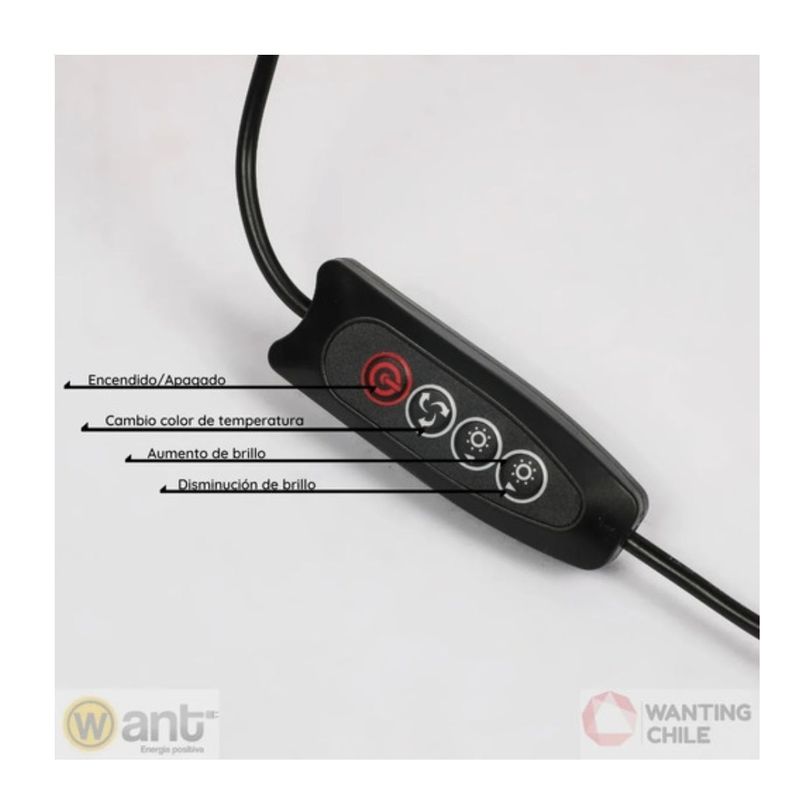 Aro Luz Led 36cm Dimeable  /  Tripode Ajustable 2 Mts Belleza-3