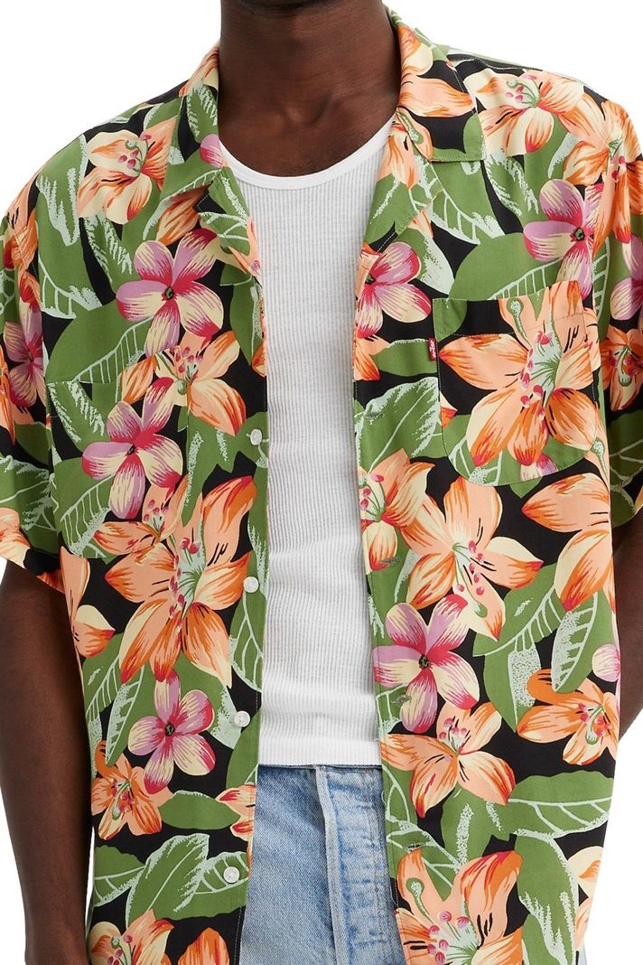 Camisa Hombre SS Classic Camper Multicolor Levis 21976-0086-2