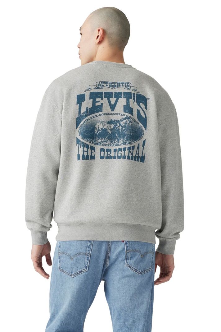 Polerón Hombre Relaxed Graphic Crew Gris Levis 38712-0408-1