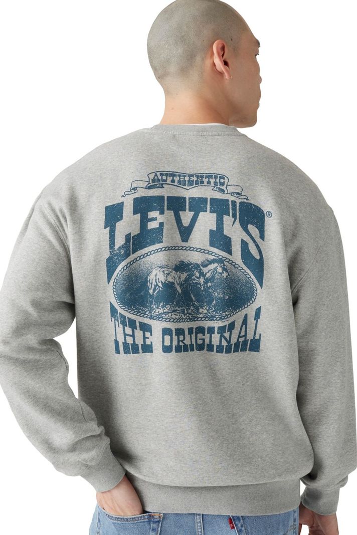 Polerón Hombre Relaxed Graphic Crew Gris Levis 38712-0408-2