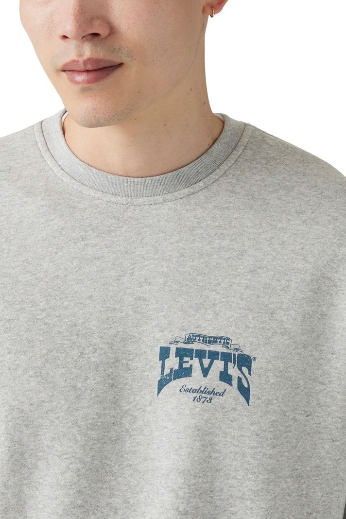 Polerón Hombre Relaxed Graphic Crew Gris Levis 38712-0408-3