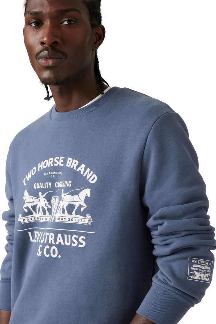 Polerón Hombre Standard Graphic Crew Azul Levis 38423-0131-3