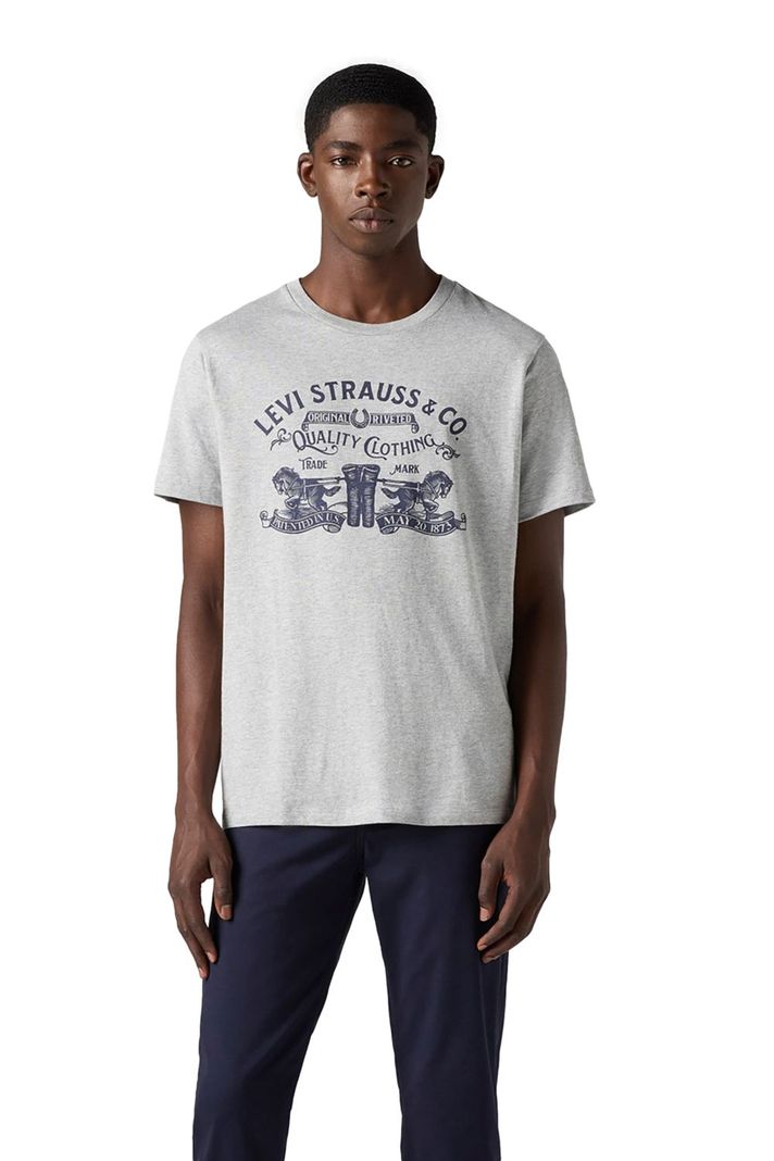 Polera Hombre Graphic Crewneck Tee Gris Levis 22491-1880-0
