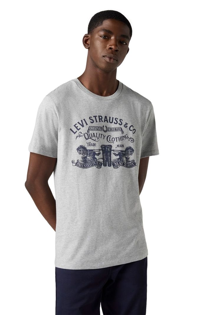 Polera Hombre Graphic Crewneck Tee Gris Levis 22491-1880-2