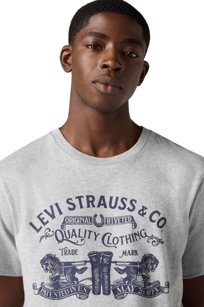 Polera Hombre Graphic Crewneck Tee Gris Levis 22491-1880-3
