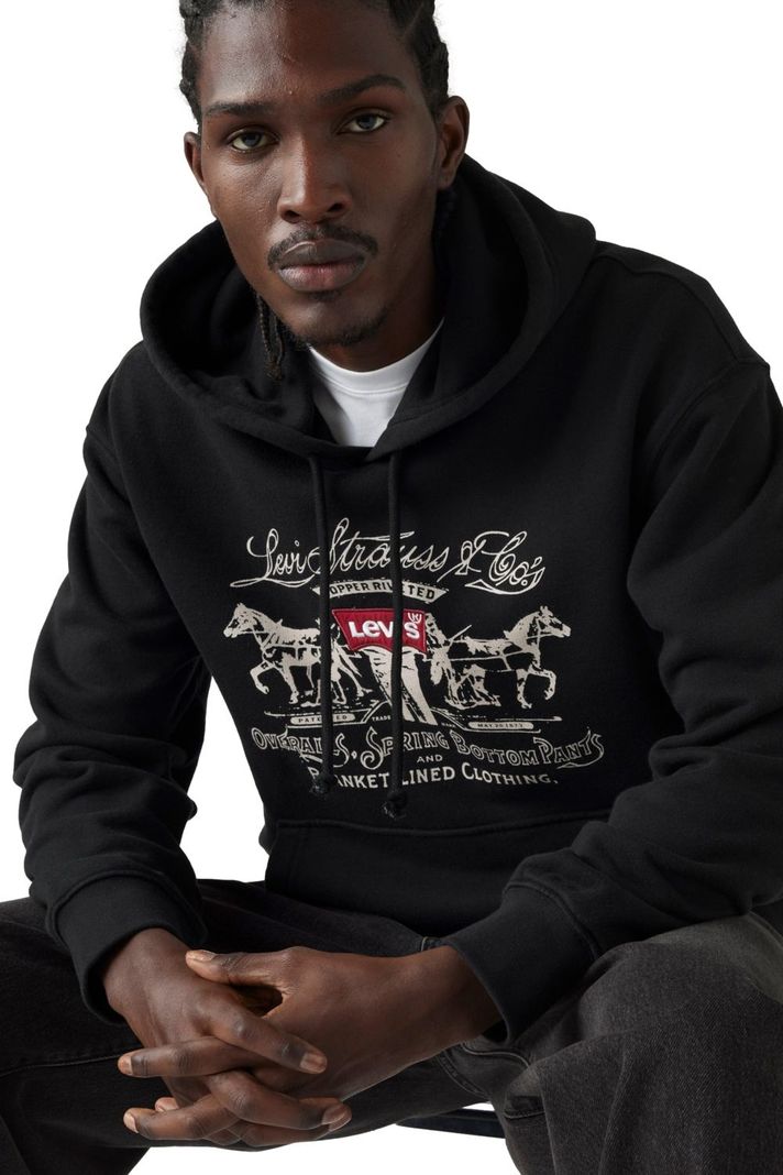 Polerón Hombre Relaxed Graphic Po Negro Levis 38479-0381-2