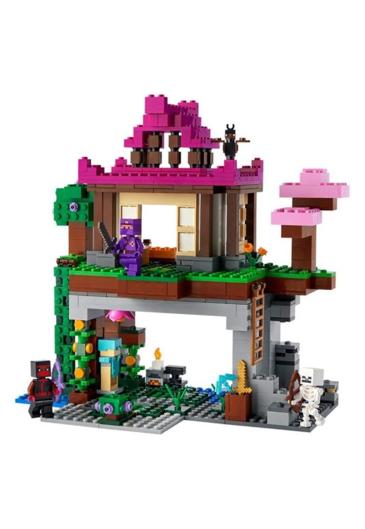 Lego Minecraft El Campo de Entrenamiento-1