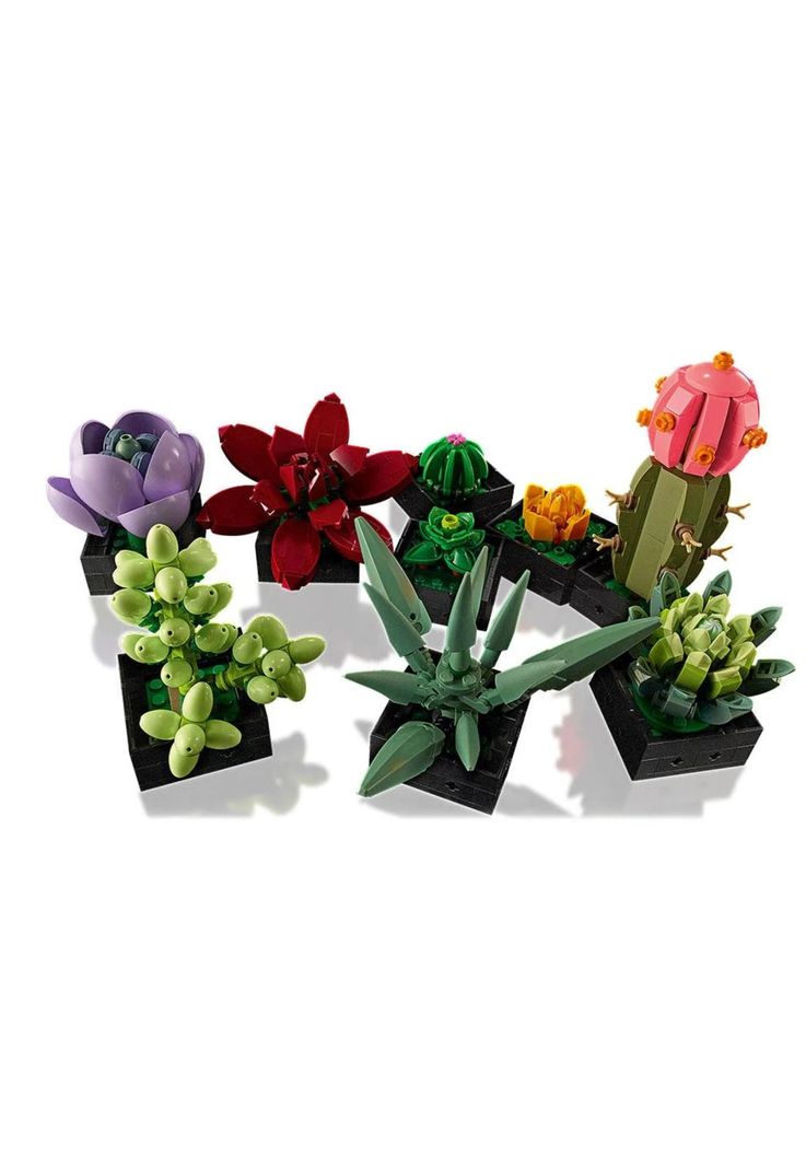 Lego Flowers Suculentas (10309)-2