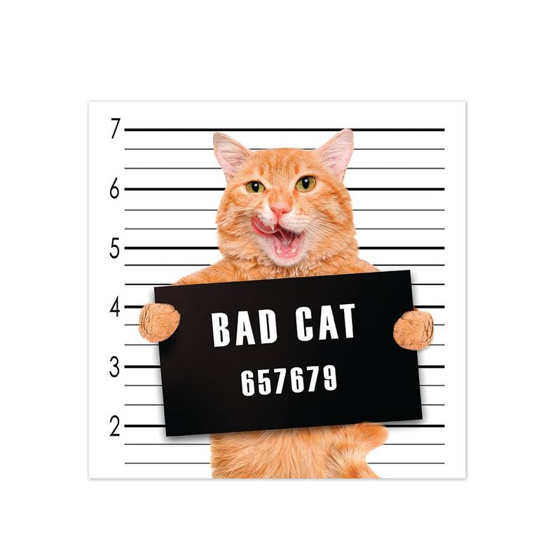 Alfombra Vinílica Pet Bad Cat Antideslizante 70x70 cm-0