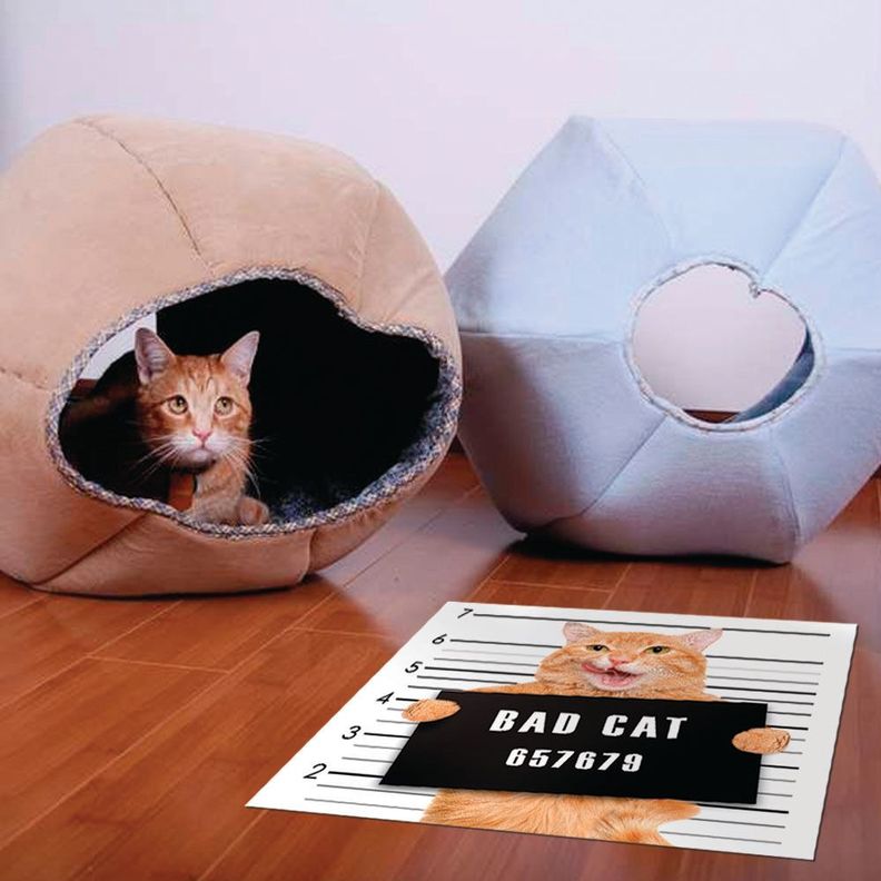Alfombra Vinílica Pet Bad Cat Antideslizante 70x70 cm-1
