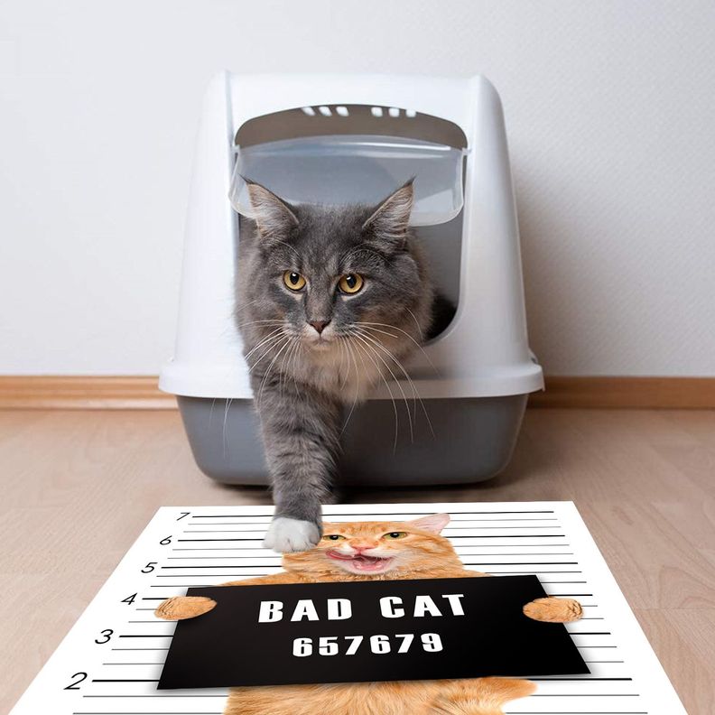 Alfombra Vinílica Pet Bad Cat Antideslizante 70x70 cm-2