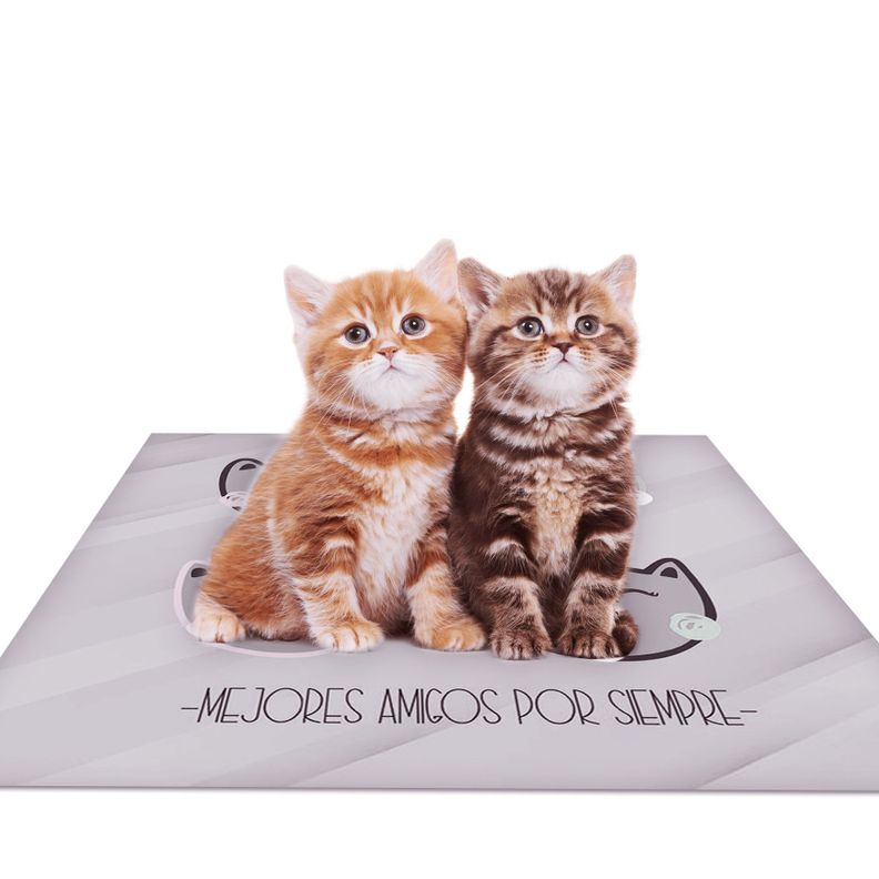 Alfombra Vinílica Pet Gatitos Antideslizante 70x70 cm-1
