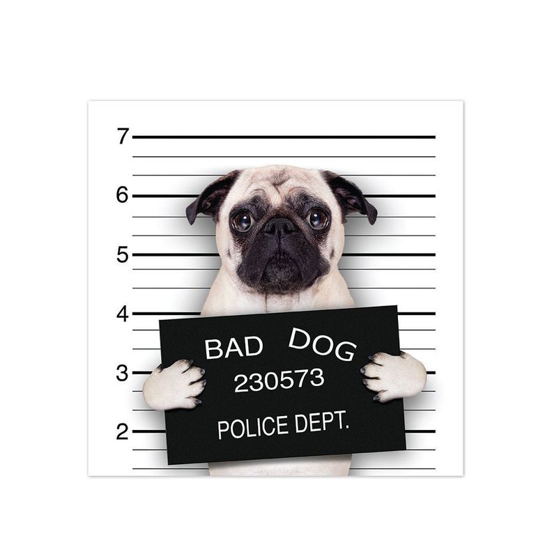 Alfombra Vinílica Pet Bad Pug Antideslizante 70x70 cm-0