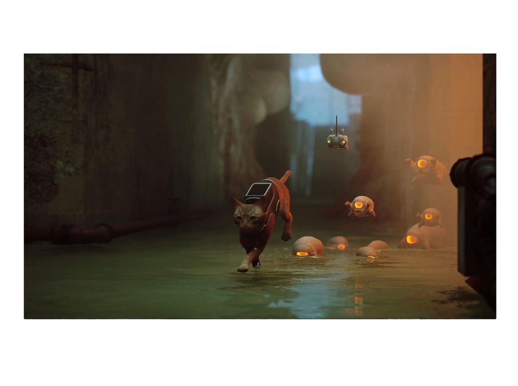 Videojuego Stray - PS5-3