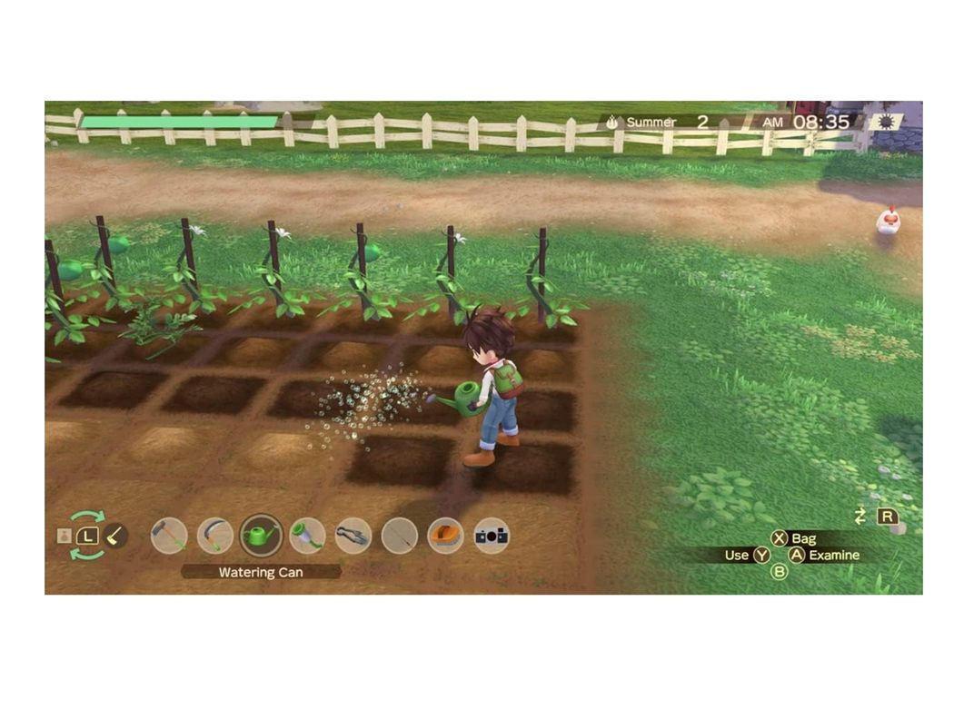 Videojuego Story Of Seasons: A Wonderful Life - Nintendo Switch-4