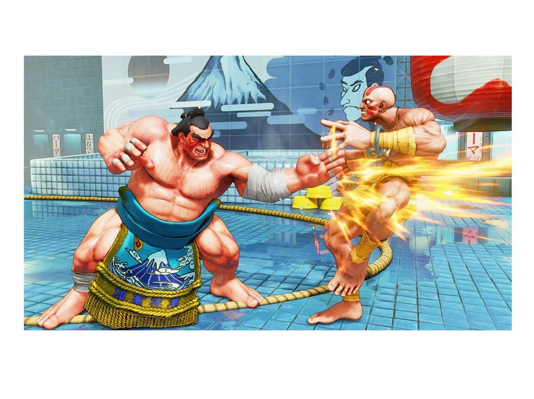 Videojuego Street Fighter V: Champion Edition - PS4-4