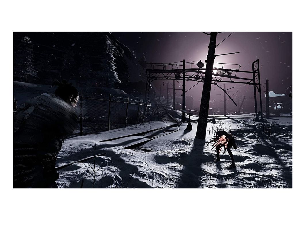 Videojuego Fade to Silence (Europeo) - PS4-3