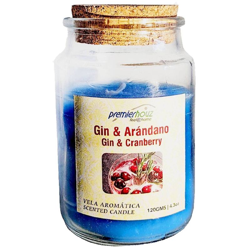 Vela Aromática Gin y Arándano 120gr-0