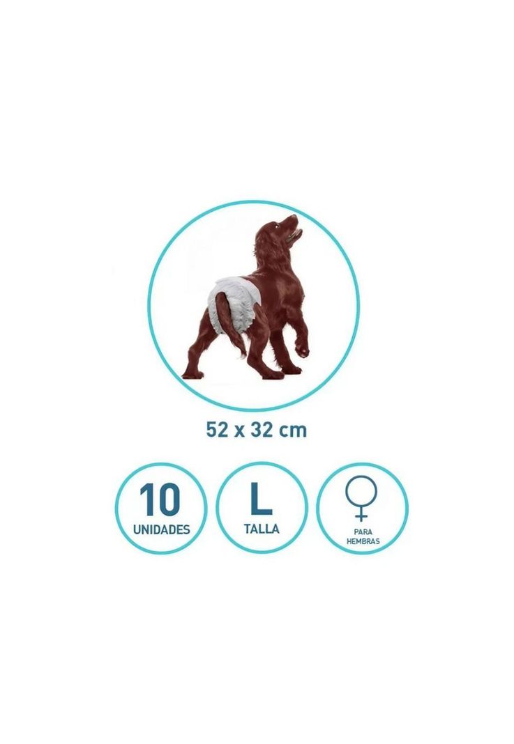 10 Pañales Para Perro Hembra L-1