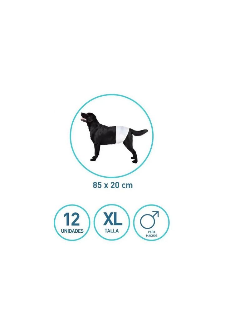 12 Pañales Para Perro Macho Xl-1