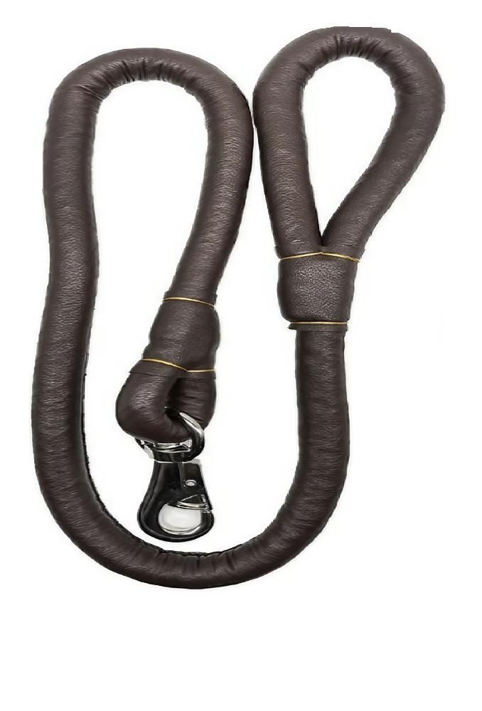 Correa Paseo Para Perro Mascota 113cm-0