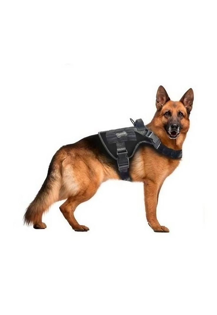 Arnes para Perros Grandes XXL-2