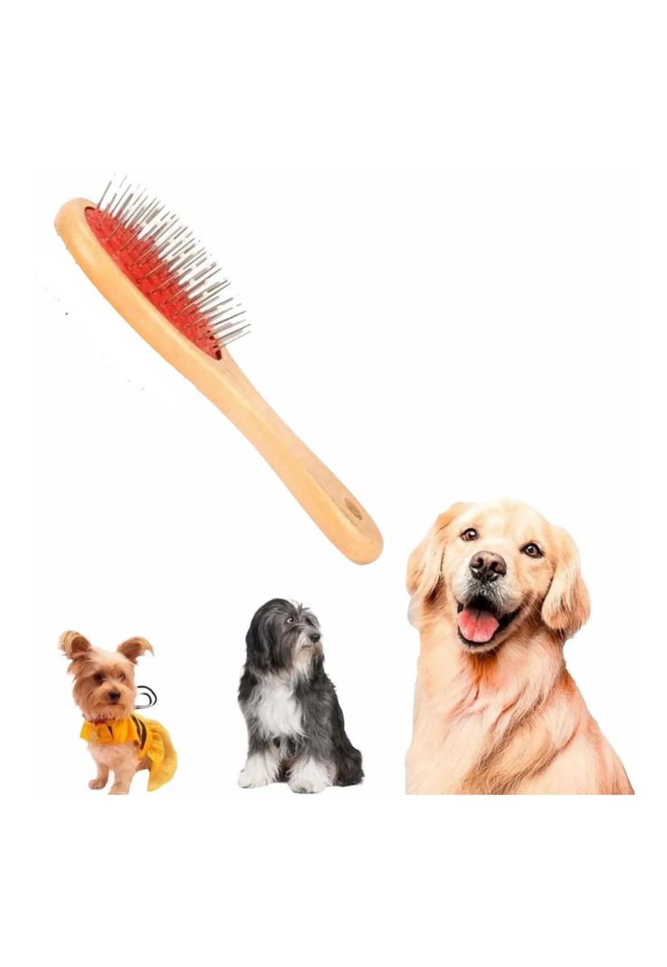 Cepillo Para Mascotas Ovalado Simple Pets And Friends-2