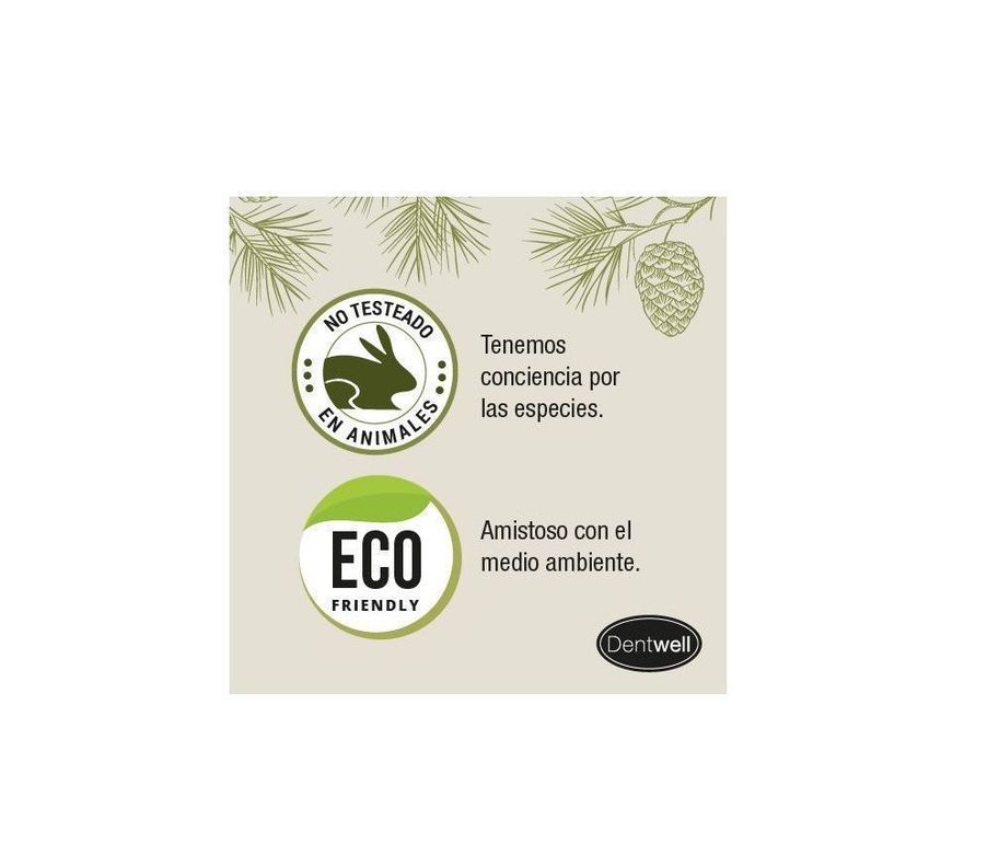 Eco Brush Dental Cepillo de Dientes Dentwell-2