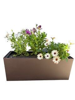 Macetero Autorregante Liso 50x20x20 cm-1