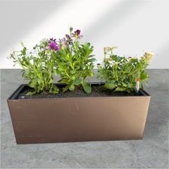 Macetero Autorregante Liso 50x20x20 cm-3