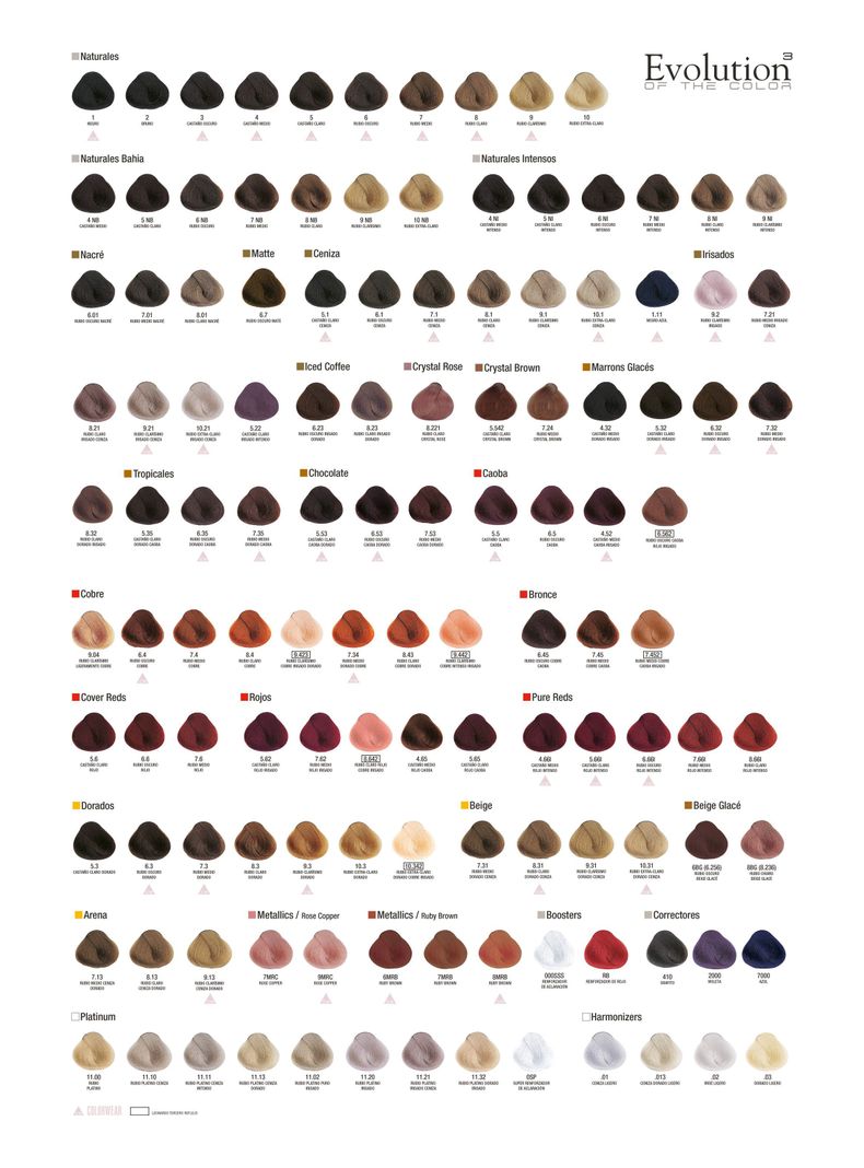 Alfaparf Evolution Coloración Permanente Profesional 0SP -2