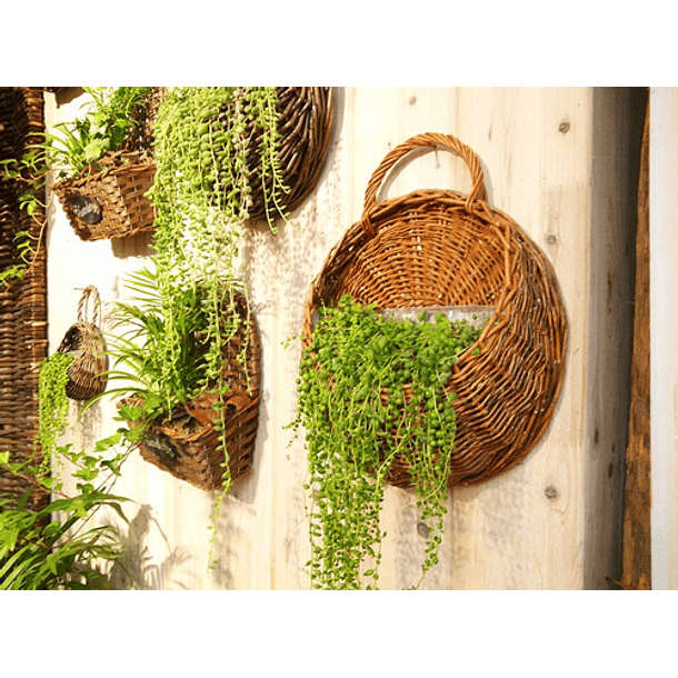 Juego De Dos Macetas De Flores Para Colgar Pared-2