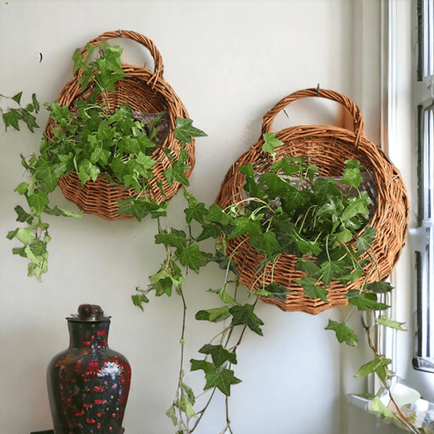 Juego De Dos Macetas De Flores Para Colgar Pared-3