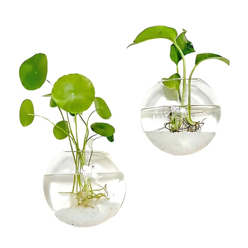 Pack 2 Macetas De Vidrio Colgante Transparente Pared 13cm-0