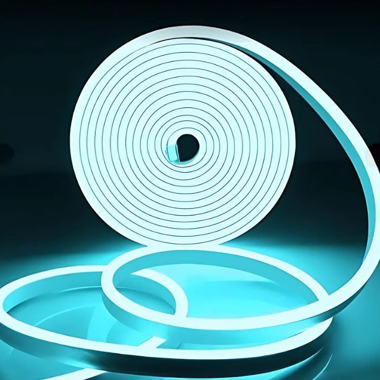 Luz Led Neón De Silicona Impermeable 5m USB-1