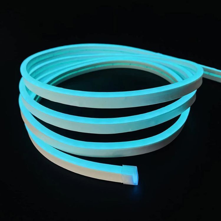 Luz Led Neón De Silicona Impermeable 5m USB-2