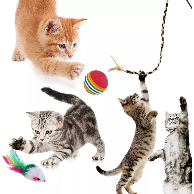  Pack 22 Juguetes Para Gato Interactivo Con Accesorios-1