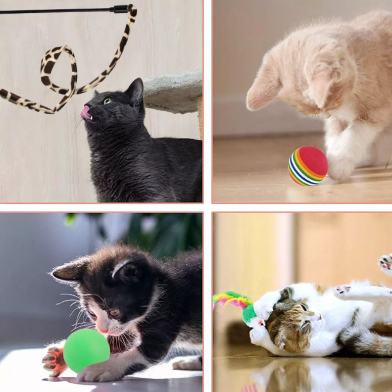  Pack 22 Juguetes Para Gato Interactivo Con Accesorios-2