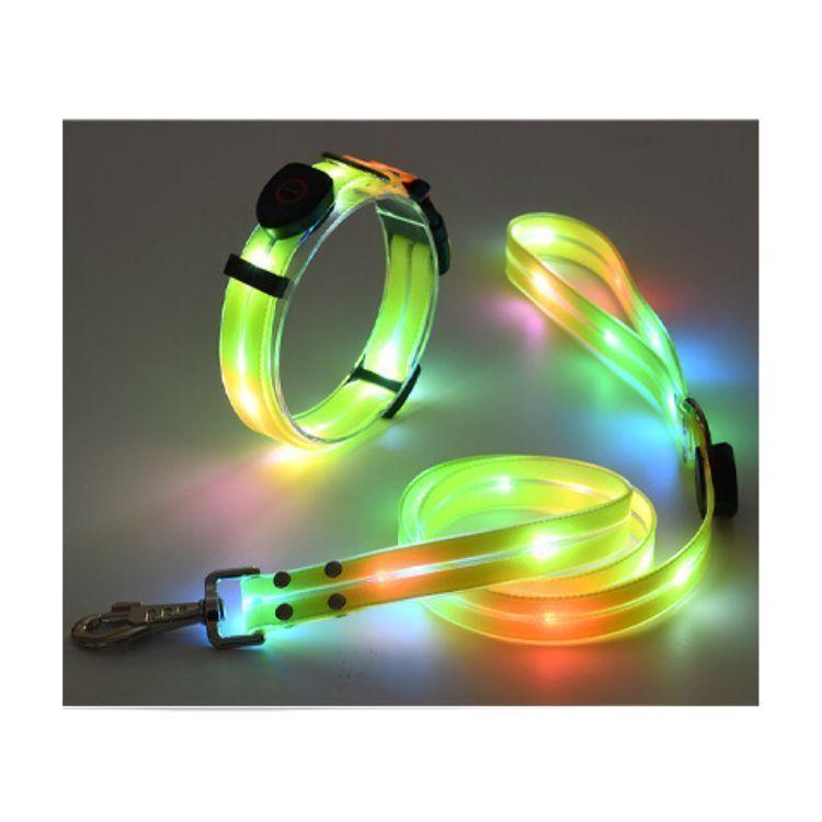 Correa + Collar Con Luces LED Impermeable-3