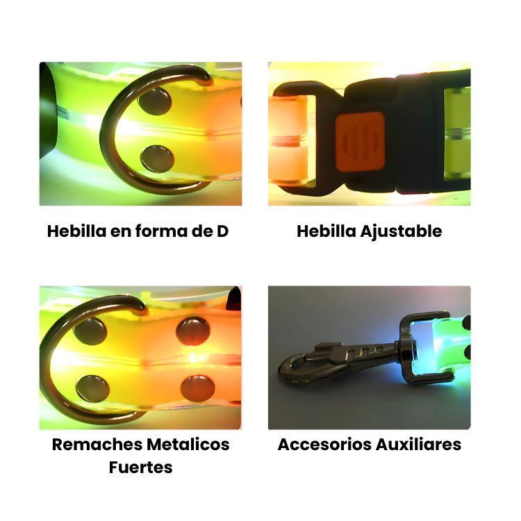 Correa + Collar Con Luces LED Impermeable-4